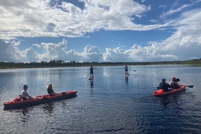 New Smyrna Dolphin and Manatee Kayak and SUP Adventure Tour - Final Thoughts
