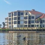 New Smyrna Mangrove Paddle & Mimosa Tour - Who is this tour best for?