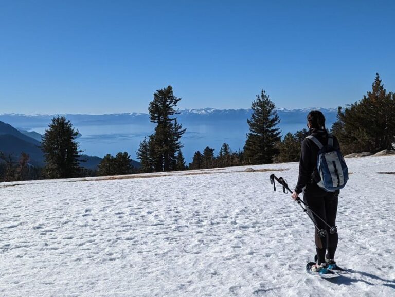 New Washoe City: Chickadee Ridge Beginner Snowshoeing Hike - What’s Included & Practical Details