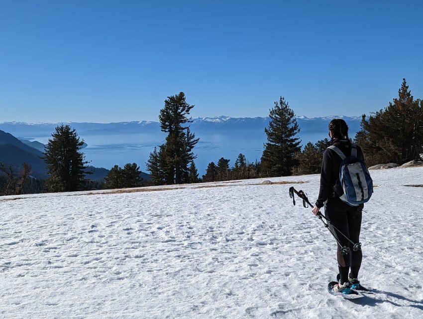 New Washoe City: Chickadee Ridge Beginner Snowshoeing Hike - What’s Included & Practical Details