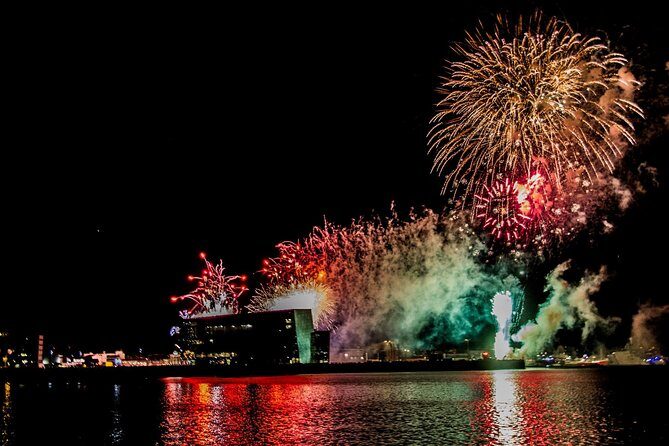 New Year's Eve Fireworks Cruise in Reykjavik - Who Would Love This Tour?