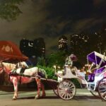 New York: Carriage Ride in Central Park - What Do You Really Get for $160?