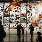 New York City: American Museum of Natural History Ticket - Who Will Love This Experience?