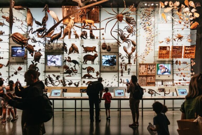 New York City: American Museum of Natural History Ticket - Who Will Love This Experience?