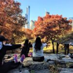 New York City: Central Park Yoga and Walking Tour - Who Will Love This Tour?