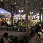 New York City: Holiday Lights Extravaganza Walking Tour - Exploring the Tour in Detail