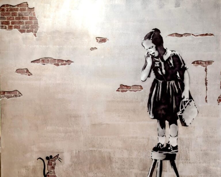 New York City: The Banksy Museum Entry Ticket - An In-Depth Look at the Banksy Museum Experience