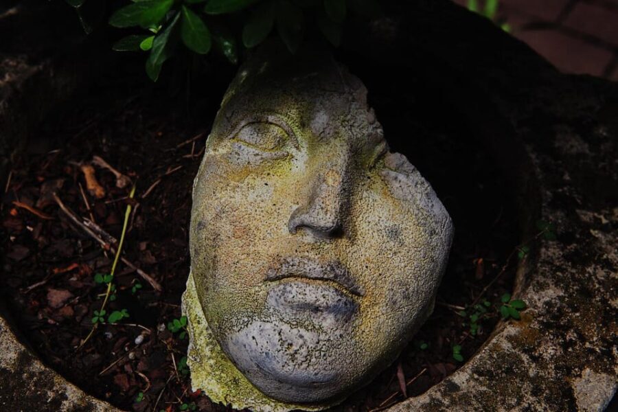 New York City: The Garden Photo Tour - Who Should Consider This Tour?