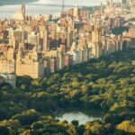 New York Edge Observation Deck & Little Island Pier 55 tour - Why This Tour Offers Real Value