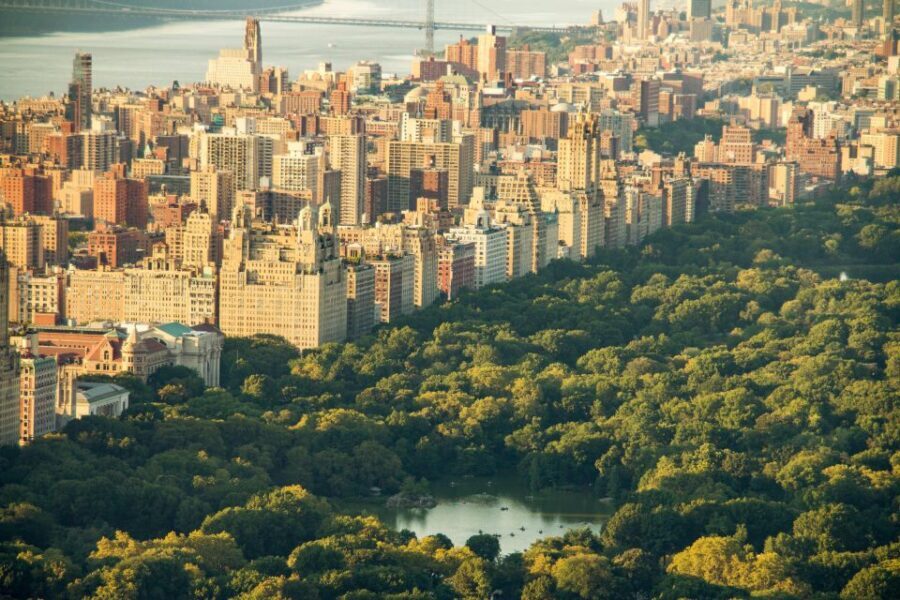 New York Edge Observation Deck & Little Island Pier 55 tour - Why This Tour Offers Real Value