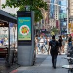 New York Half Day City Tour With Luxury SUV - The Sum Up: Who Should Consider This Tour?