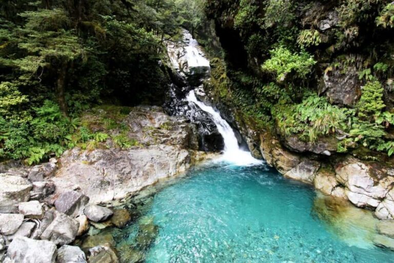 New Zealand: 9-Day Private Tour with 14-16 Activities - The Value of This Tour