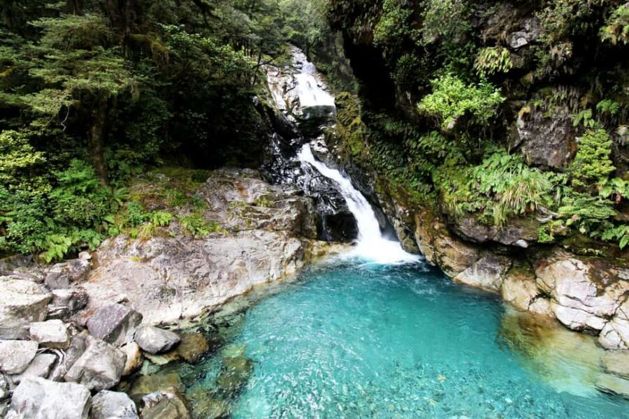 New Zealand: 9-Day Private Tour with 14-16 Activities - The Value of This Tour