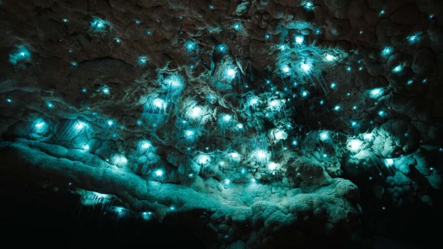 New Zealand: Milky Way Glowworm Cave Tour - Who Is This Tour Best For?