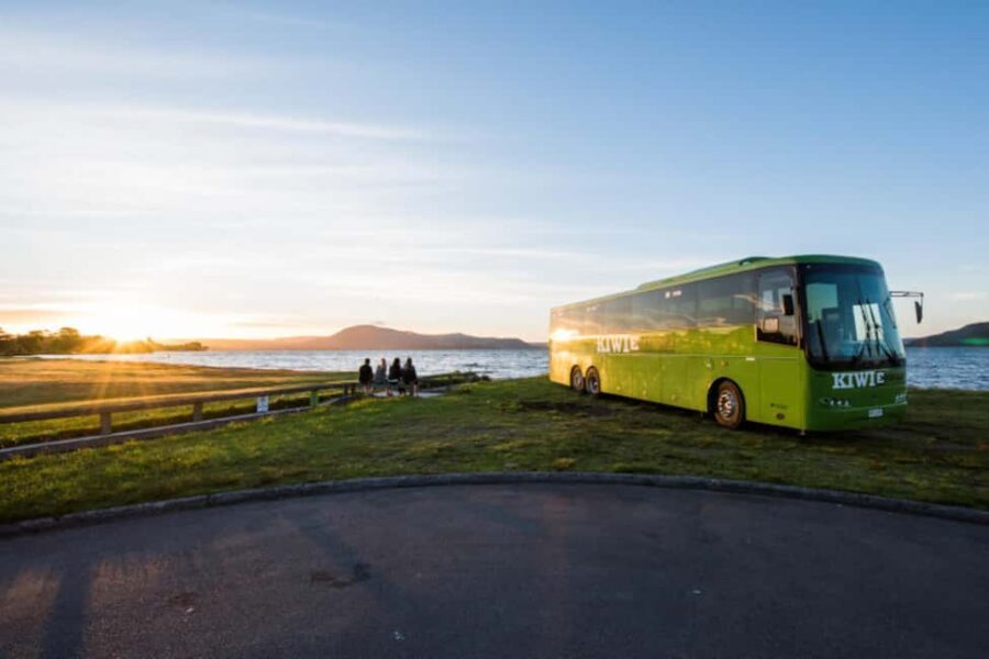 New Zealand: North Island Hop-On Hop-Off Pass - Detailed Breakdown of the Itinerary