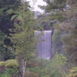 New Zealand Tauranga Tour with Transportation and Snacks - FAQ
