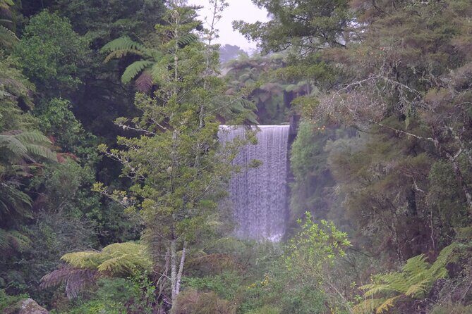 New Zealand Tauranga Tour with Transportation and Snacks - FAQ