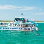 Newcastle: Animal Lovers Tour - Kangaroos, Dolphins & more! - Starting with a Splash: The Dolphin Cruise