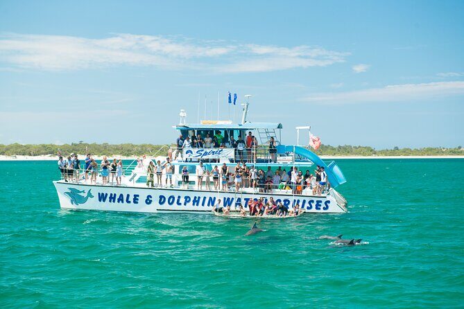 Newcastle: Animal Lovers Tour - Kangaroos, Dolphins & more! - Starting with a Splash: The Dolphin Cruise