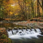 Newcastle: Game of Thrones - Tollymore Forest Trek - The Experience in Detail