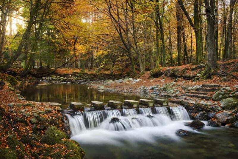 Newcastle: Game of Thrones - Tollymore Forest Trek - The Experience in Detail