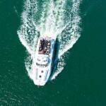 Newcastle Whale Watching Cruise - The Highlights: Why You’ll Love This Tour