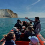 Newhaven: Seven Sisters and Birling Gap Boat Tour - An Authentic Coastal Experience: What You Can Expect
