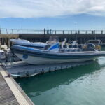 Newhaven: Seven Sisters Rapid RIB Rock & Roll Ride - What to Expect and Practical Tips