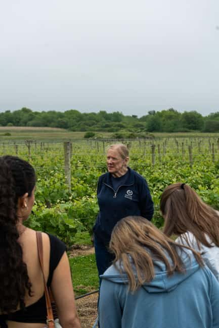 Newport: Vineyards Winery Tour + Tasting - Final Thoughts