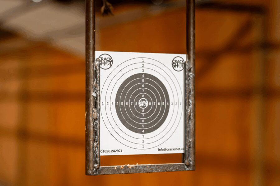 Newton Abbot: Rifle and Pistol Combo Package - A Practical Look at the Newton Abbot Rifle and Pistol Combo Package
