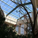 Niagara Falls, Canada: Bird Kingdom Entry Ticket - The Experience’s Practicalities