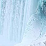 Niagara Falls, Canada: Winter Wonder Tour - Practical Details and What to Expect