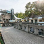 Niagara Falls, Canada: Zipline to The Falls - An Honest, In-Depth Look at the Zipline Experience