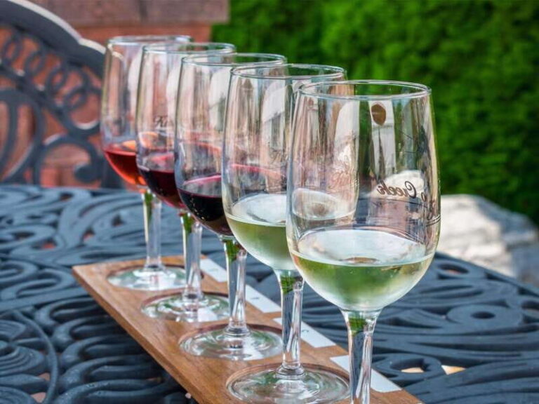 Niagara Falls: Public Niagara Wine Tour with Transportation - Who Should Consider This Tour?