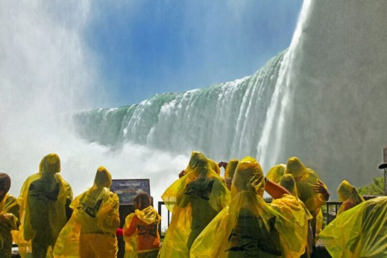 Niagara Falls USA: Day/Night Tour with Light Show & Boat - What the Reviews Reveal: Authentic Traveler Perspectives