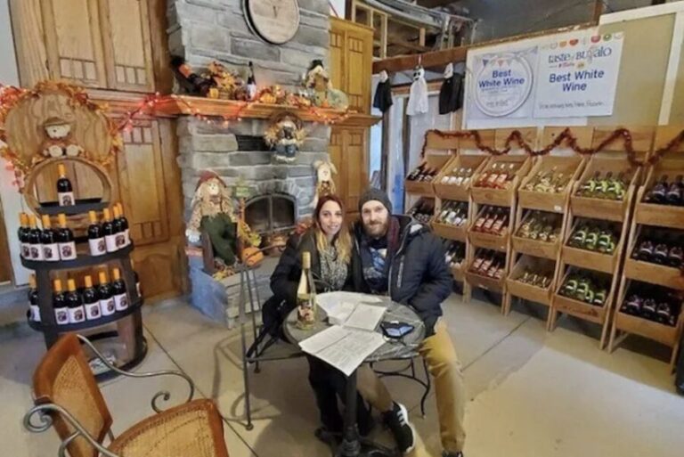 Niagara Falls: USA Small-Group Boutique Wine Tour - The Sum Up