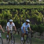 Niagara-on-the-Lake: Bicycle Tour with Wine Tasting - Is This Tour Right for You?