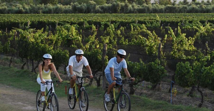 Niagara-on-the-Lake: Bicycle Tour with Wine Tasting
