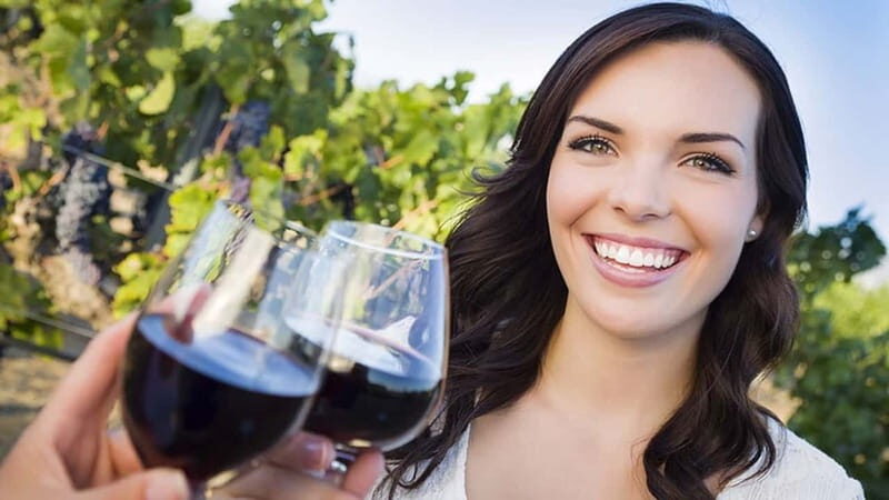 Niagara-on-the-Lake: Sunset Wine Tour with Dinner - Authentic Experiences That Shine
