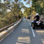 NICE BY ELECTRIC QUAD:panoramic tour from Nice - A Detailed Look at the Nice Electric Quad Tour