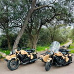 Nice: City Tour by Sidecar - An In-Depth Look at the Nice Sidecar Tour