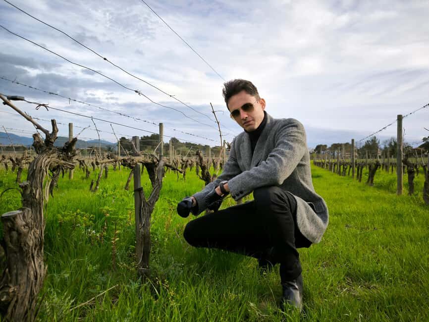 Nice: Full Day Trip Private Wine Tour (Cremat and more) - Who Will Love This Tour?