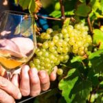 Nice: Provence Village Tour with Wine and Produce Tasting - Final Thoughts: Is This Tour for You?
