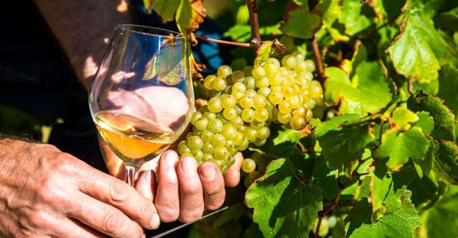 Nice: Provence Village Tour with Wine and Produce Tasting - Final Thoughts: Is This Tour for You?