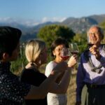 Nice: Vineyard Tour with Wine Tasting - Why This Tour Works Well