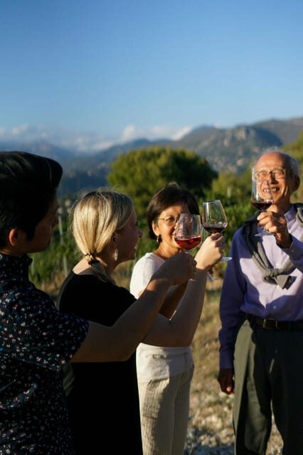 Nice: Vineyard Tour with Wine Tasting - Why This Tour Works Well