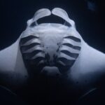 Night Manta Ray Snorkel with Videos - Why This Tour Stands Out