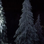 Night Snowshoeing Lapland Experience - The Sum Up: Who Will Benefit Most?