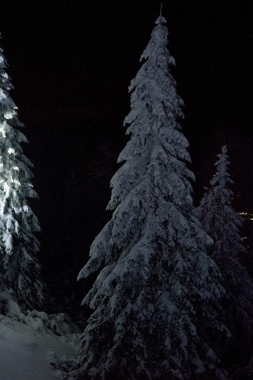 Night Snowshoeing Lapland Experience - The Sum Up: Who Will Benefit Most?