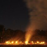 Night Tour in Hoia Baciu Forest - FAQ
